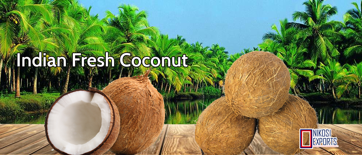 cocnut banner