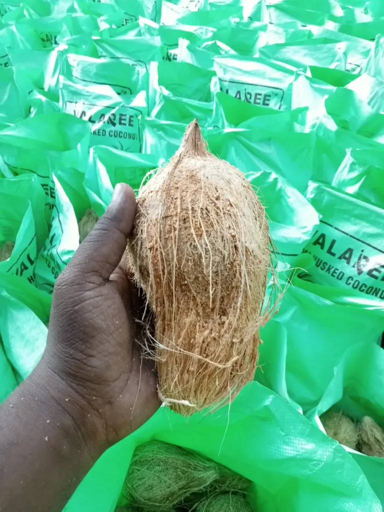 1 (7)