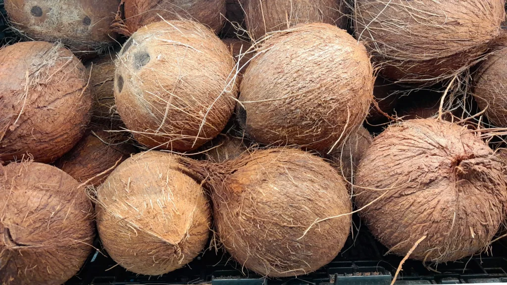 Semi Husked Coconut